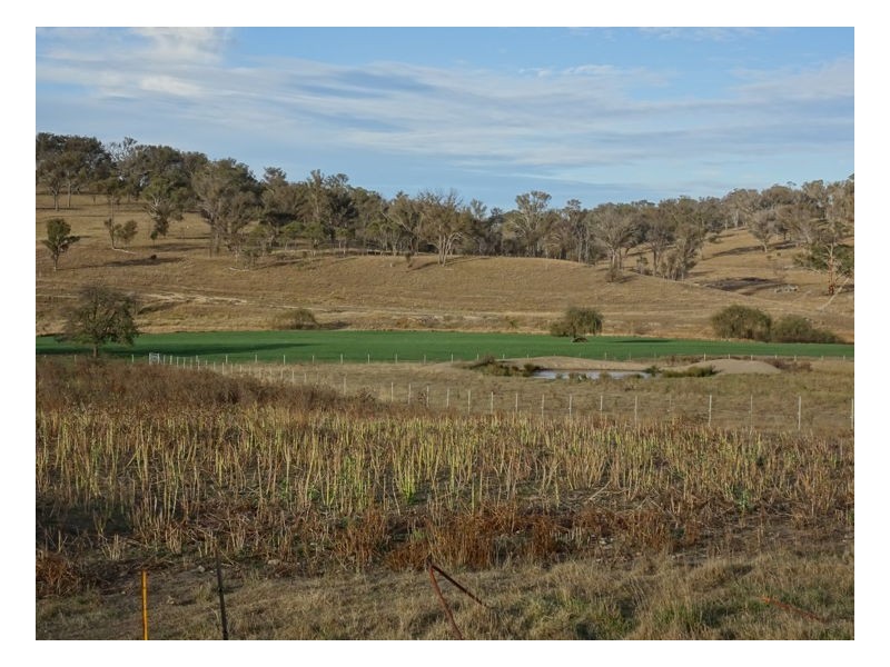 Armidale NSW 2350