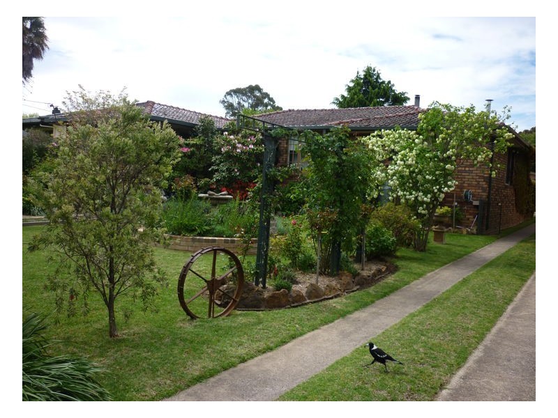 Armidale NSW 2350