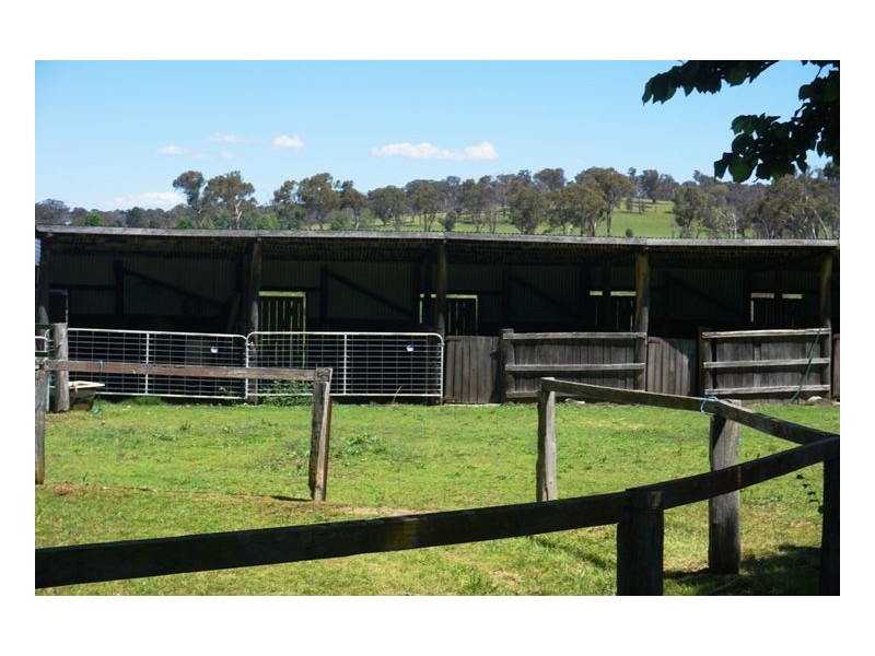Armidale NSW 2350