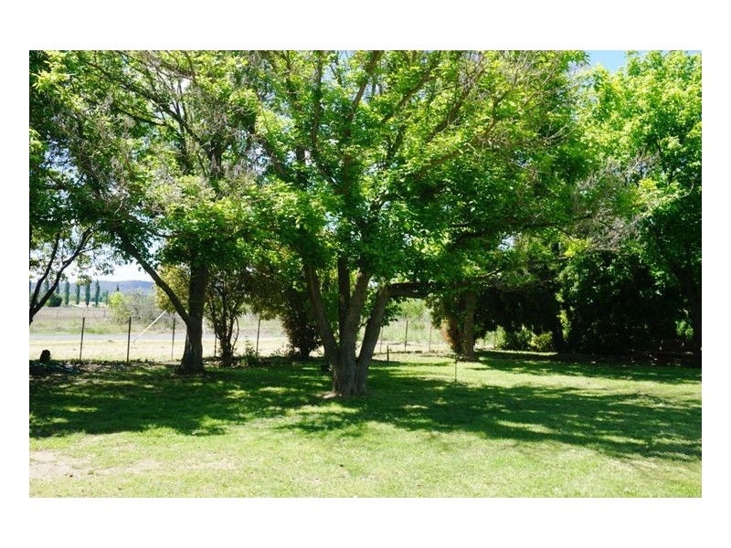 Armidale NSW 2350