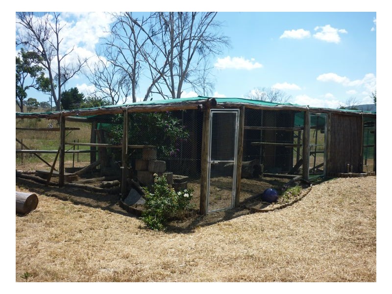 68 McCannas road, Armidale NSW 2350