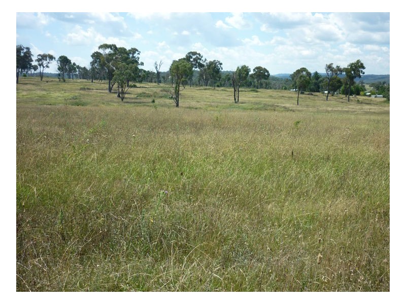 68 McCannas road, Armidale NSW 2350