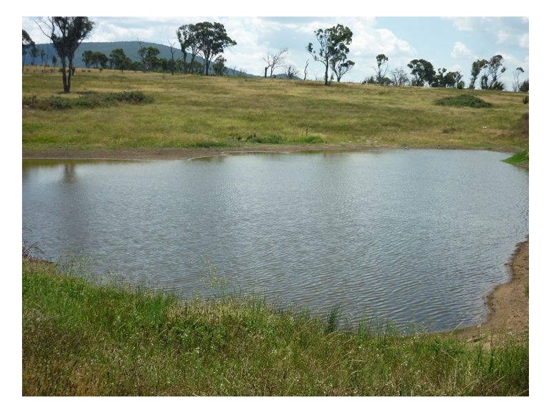 68 McCannas road, Armidale NSW 2350