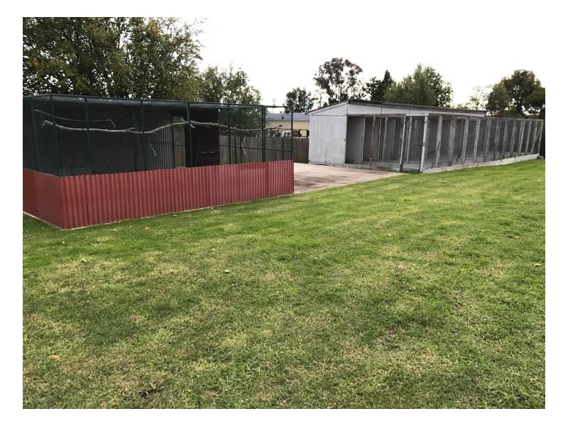 7 Stella street, Hillgrove NSW 2350