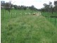 127 Pipeclay, Ebor NSW 2453