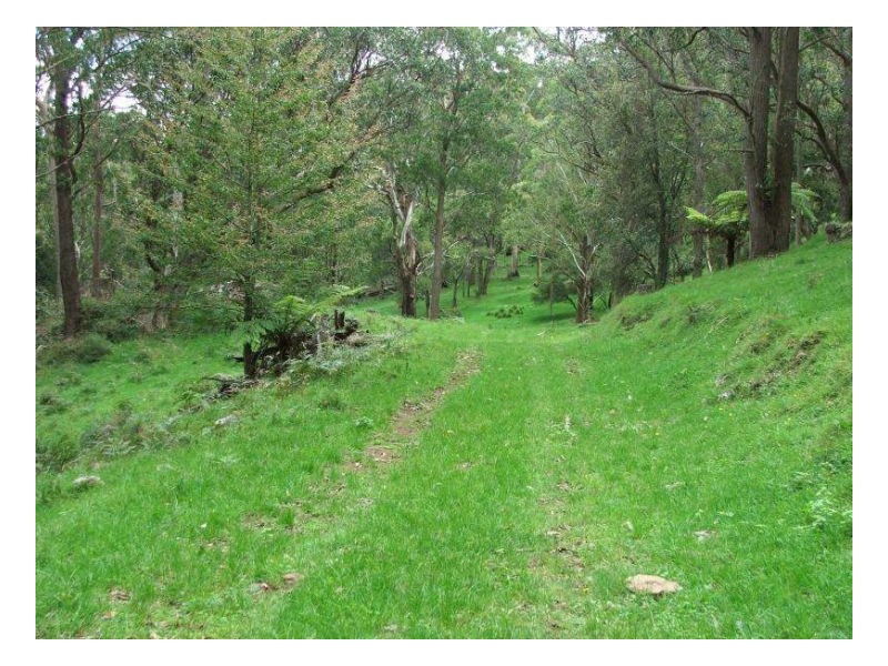 127 Pipeclay, Ebor NSW 2453