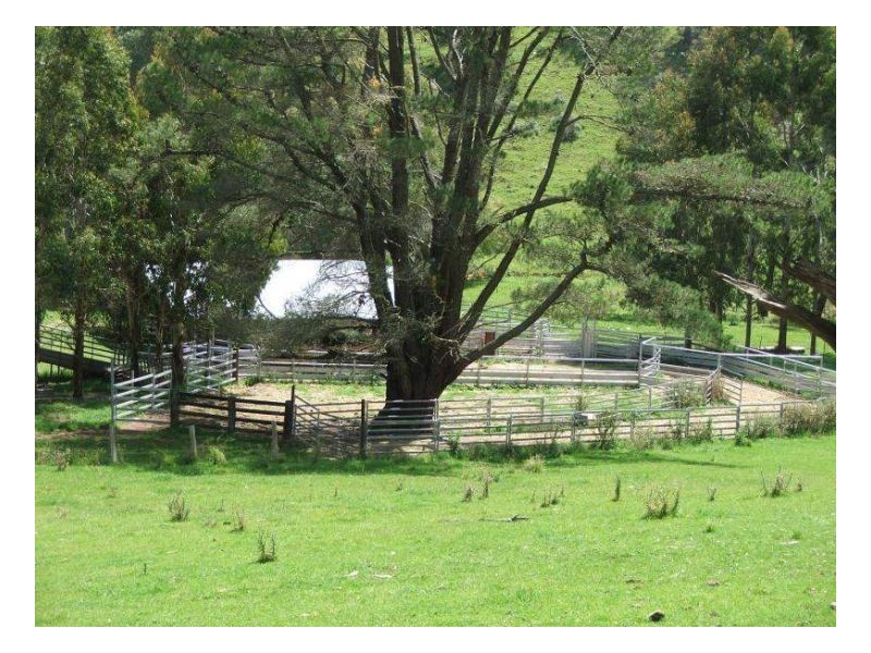 127 Pipeclay, Ebor NSW 2453