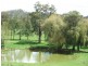 127 Pipeclay, Ebor NSW 2453