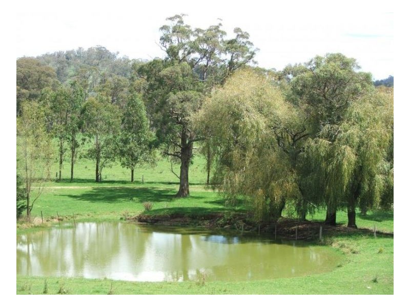 127 Pipeclay, Ebor NSW 2453