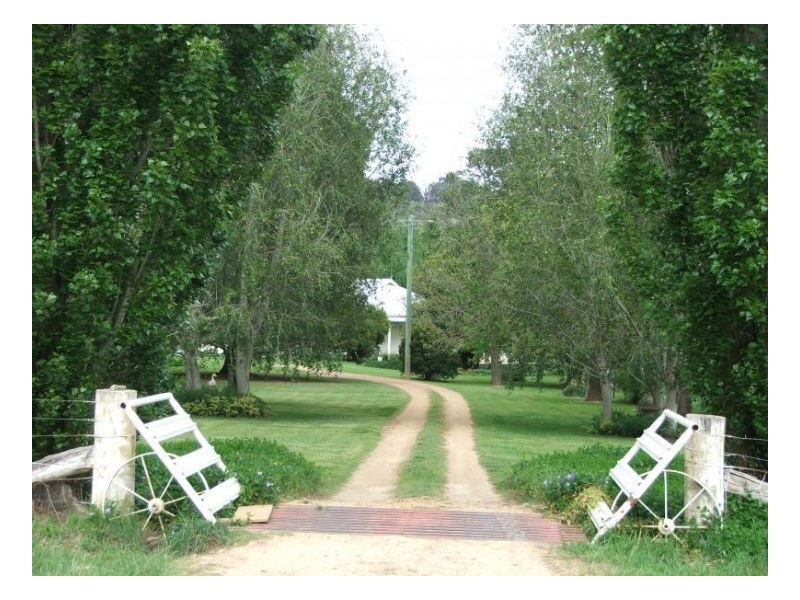 Springburn, Walcha NSW 2354