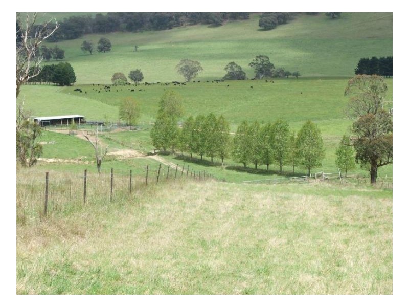 Springburn, Walcha NSW 2354
