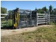 Armidale NSW 2350