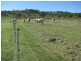 Armidale NSW 2350