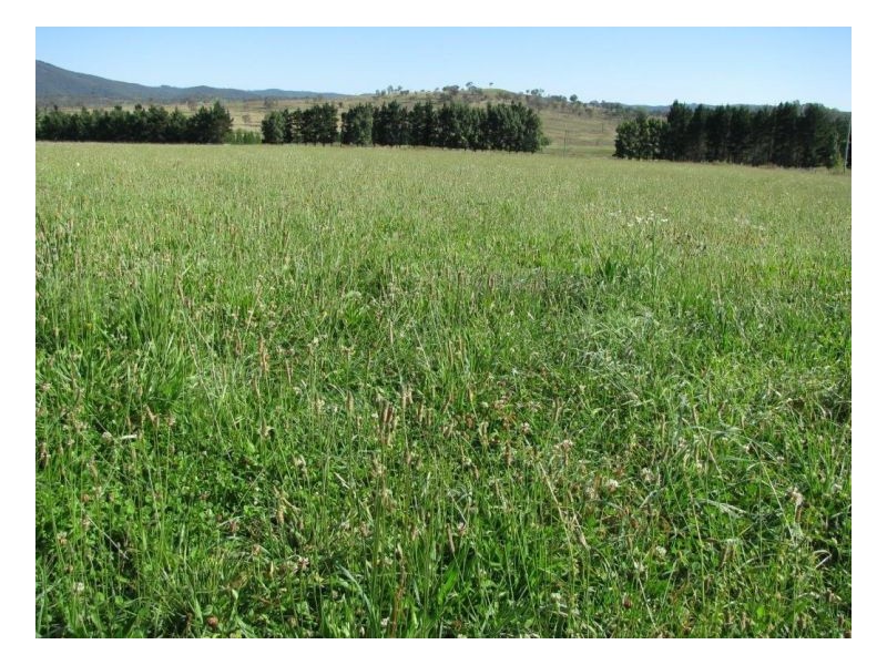 Armidale NSW 2350