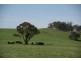 Walcha NSW 2354