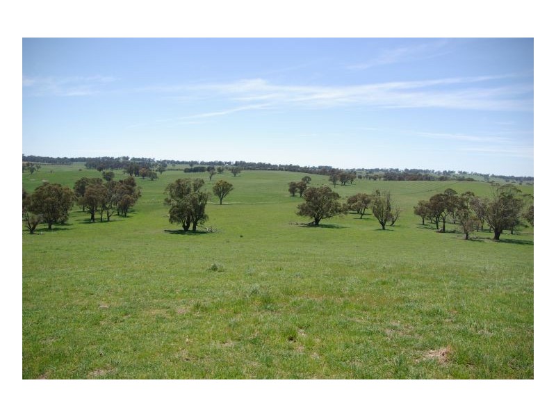 Walcha NSW 2354