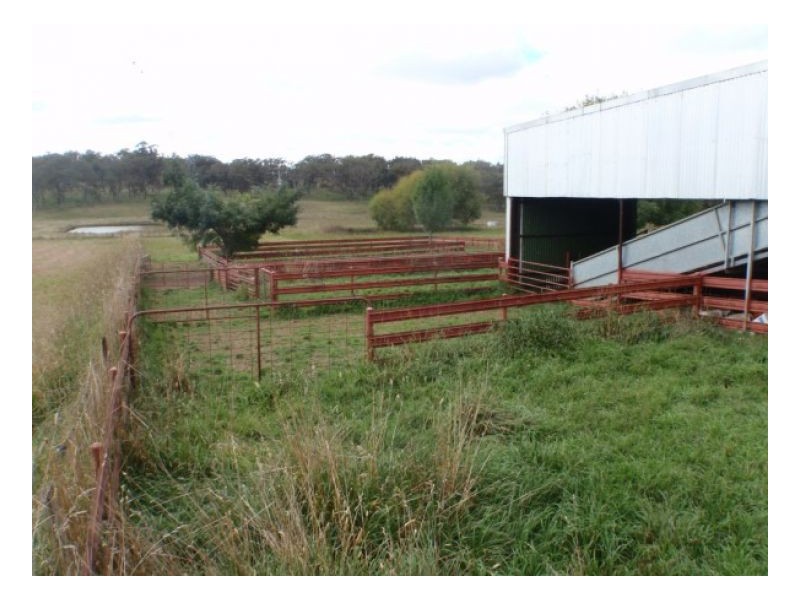 91 Mihi Road, Armidale NSW 2350