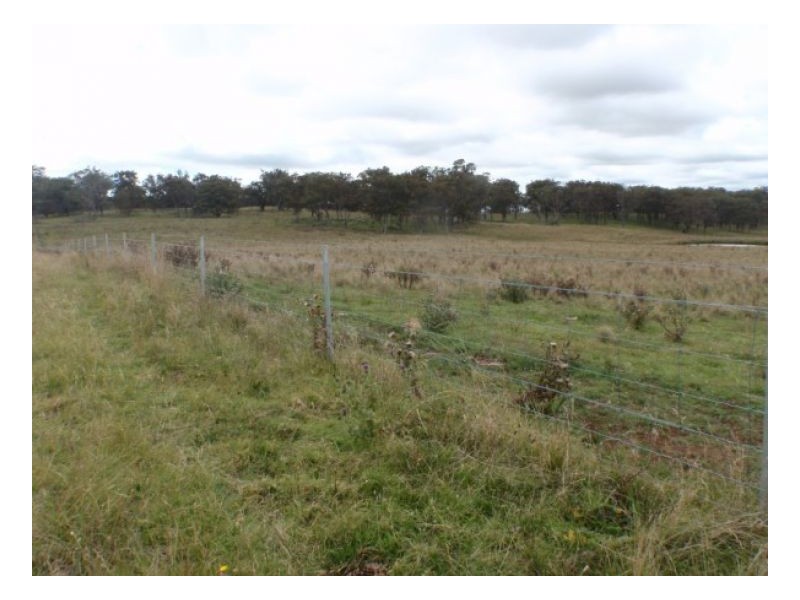 91 Mihi Road, Armidale NSW 2350