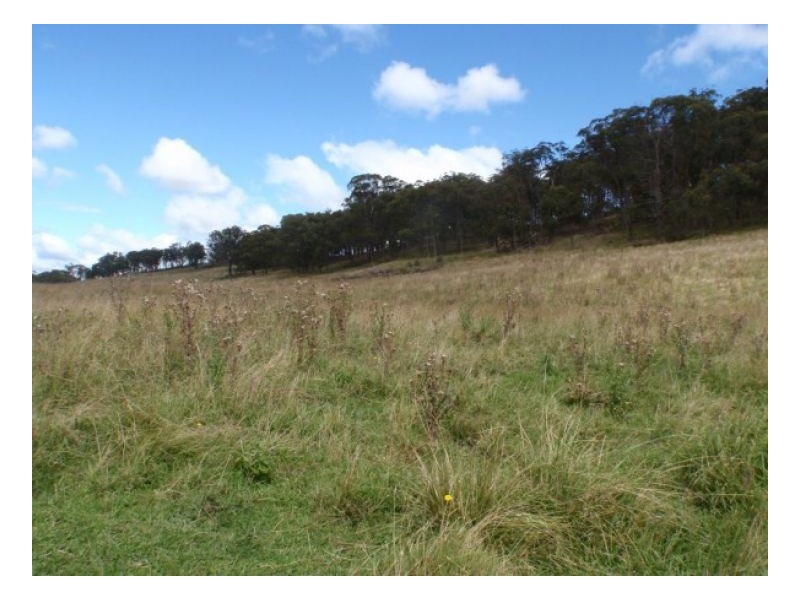 91 Mihi Road, Armidale NSW 2350