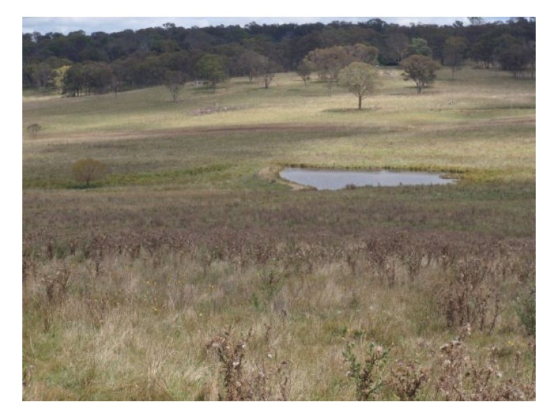 91 Mihi Road, Armidale NSW 2350