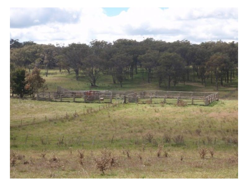 91 Mihi Road, Armidale NSW 2350