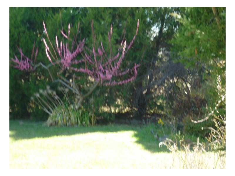 Armidale NSW 2350
