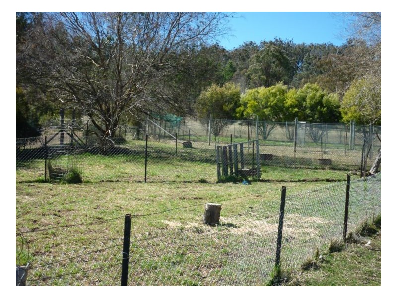 Armidale NSW 2350