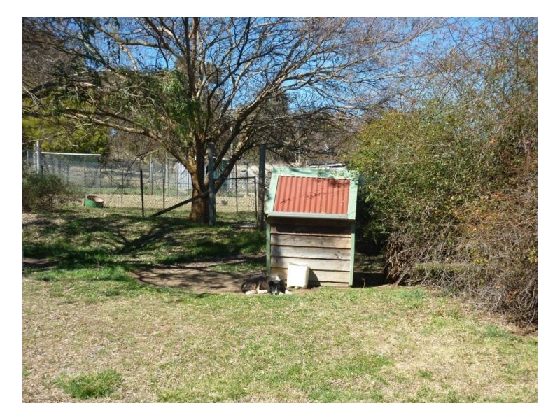 Armidale NSW 2350