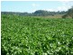 Walcha NSW 2354