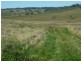 Walcha NSW 2354