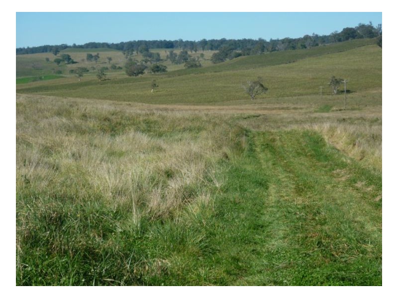Walcha NSW 2354