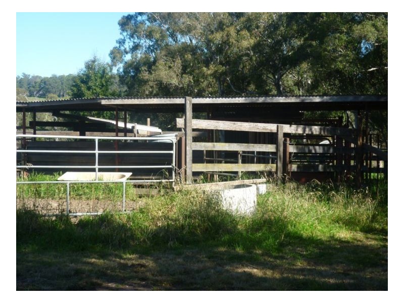 Walcha NSW 2354