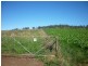 Walcha NSW 2354