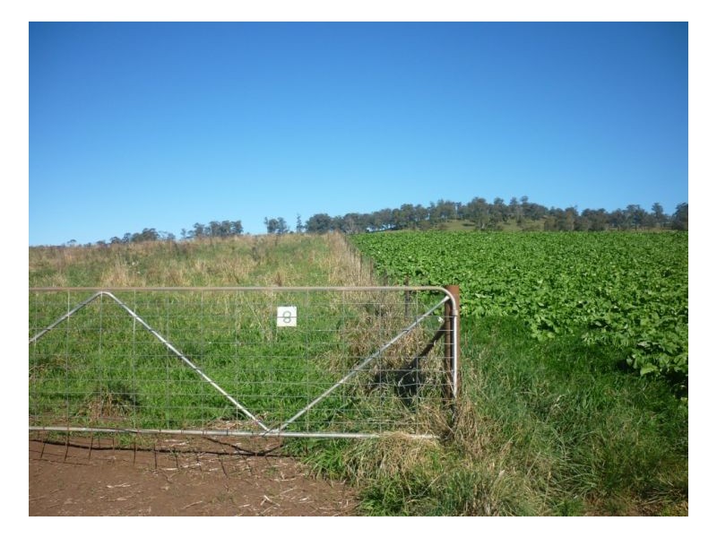 Walcha NSW 2354