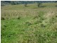 Walcha NSW 2354