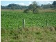 Walcha NSW 2354