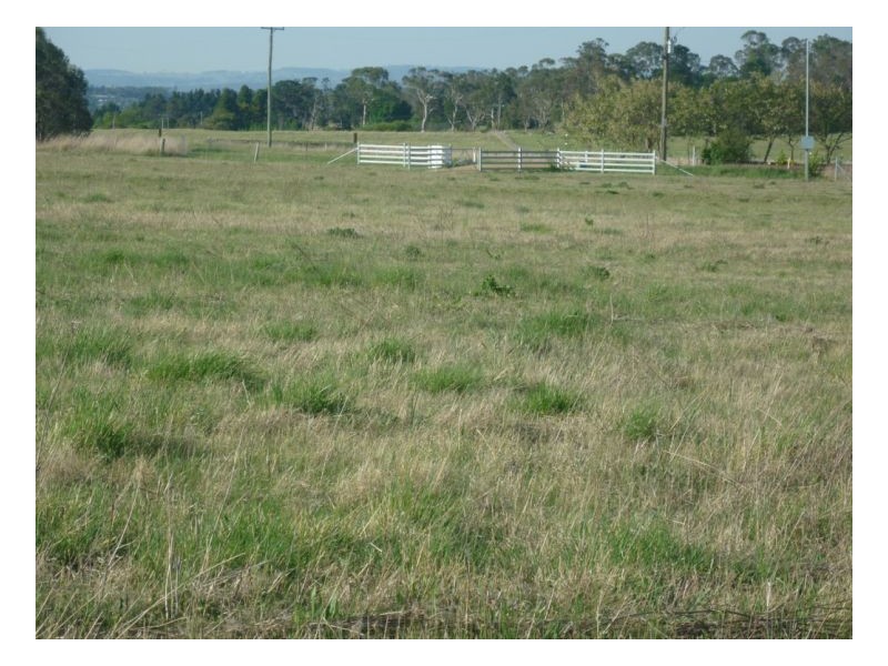 Armidale NSW 2350