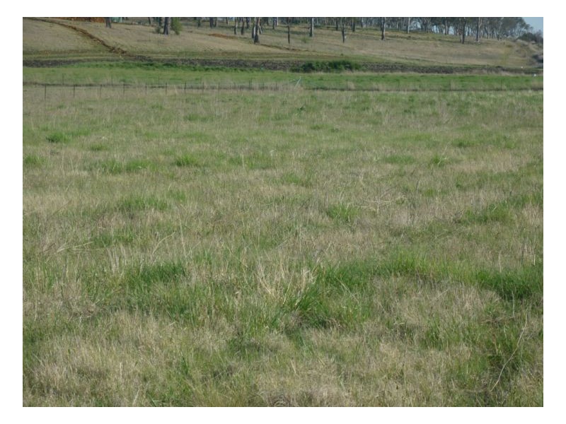 Armidale NSW 2350
