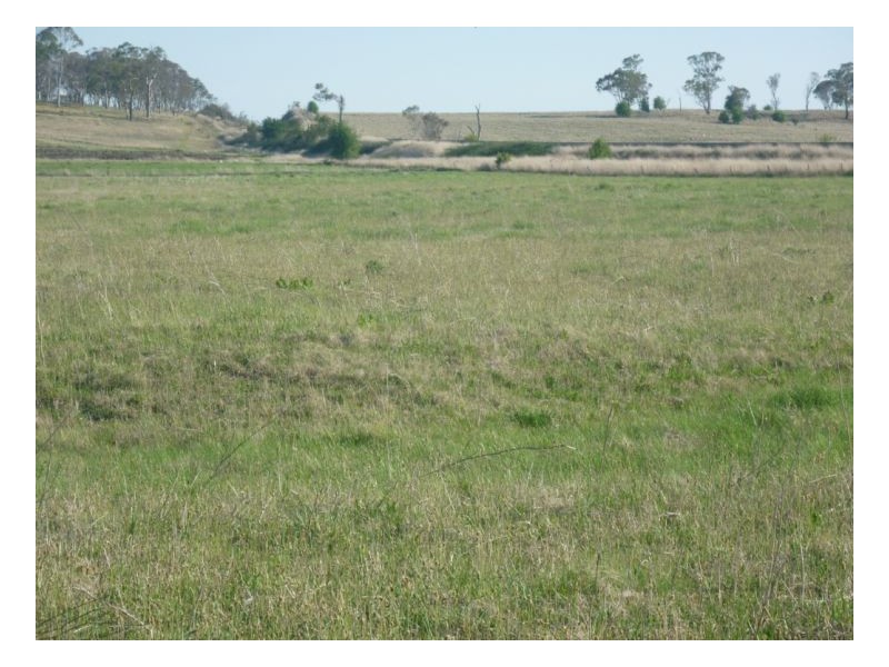 Armidale NSW 2350