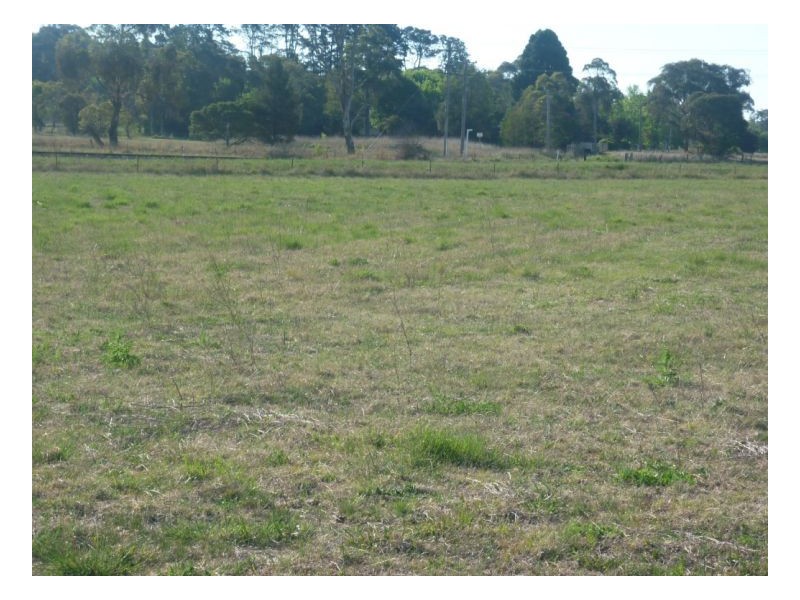 Armidale NSW 2350