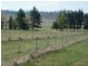 Armidale NSW 2350