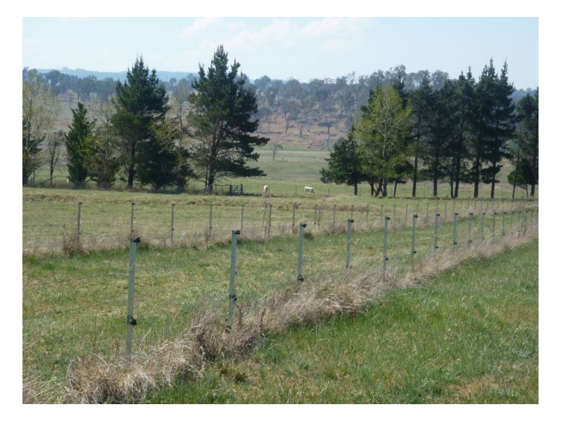Armidale NSW 2350