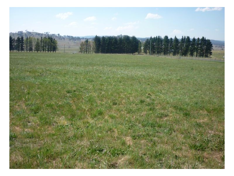 Armidale NSW 2350