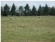 Armidale NSW 2350