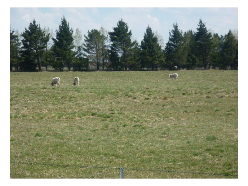 Armidale NSW 2350