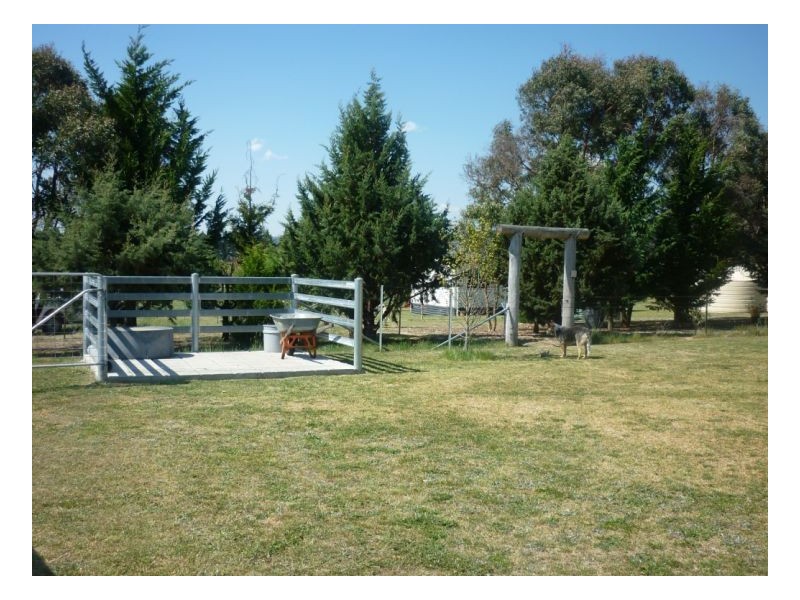 Armidale NSW 2350
