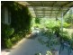 Hillgrove NSW 2350