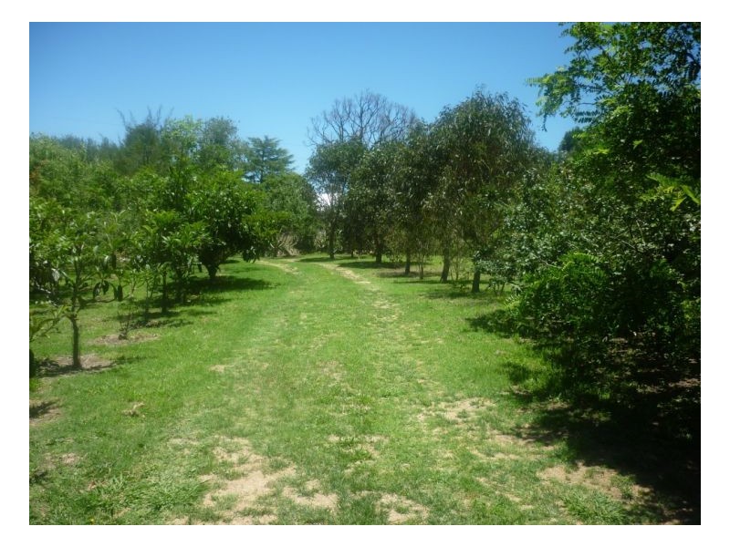 Hillgrove NSW 2350