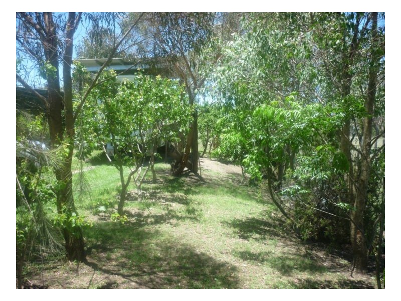 Hillgrove NSW 2350