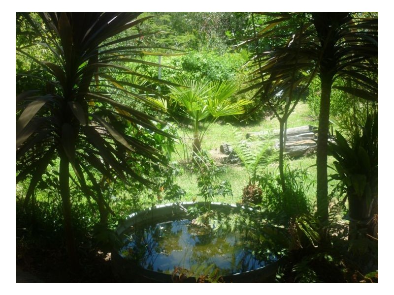 Hillgrove NSW 2350